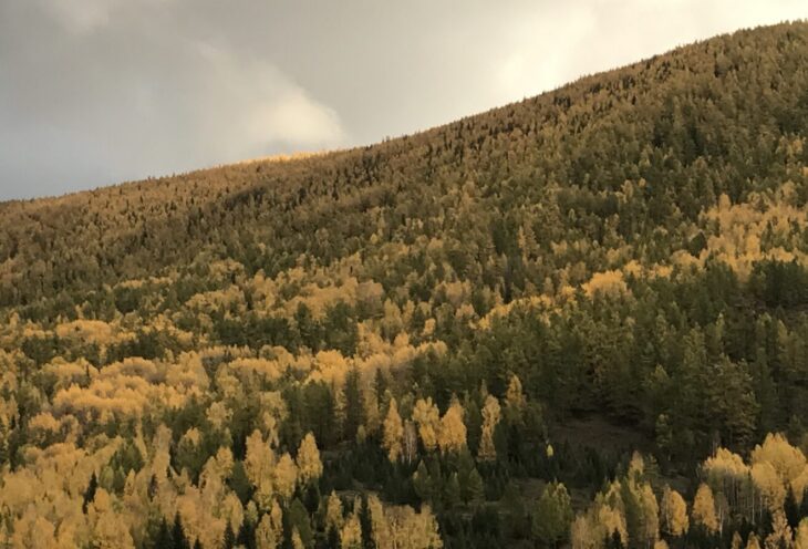 探秘北疆15天之旅